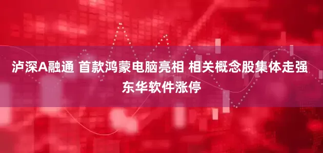泸深A融通 首款鸿蒙电脑亮相 相关概念股集体走强 东华软件涨停